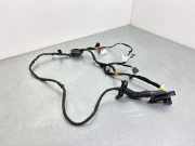Türverkabelung hinten links VW PASSAT B9 Variant (CJ5) 1.5 TSI eHybrid 3J0971693C