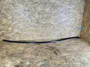 Dachleiste links MERCEDES-BENZ C (W205) C 200 (205.042)