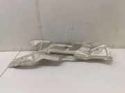 Hitzeschutz MERCEDES-BENZ GLE (W166) AMG 43 4-matic (166.064) A1676807208