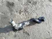 Andere Motorraumteile MAZDA 323 F VI (BJ) 2.0 TD