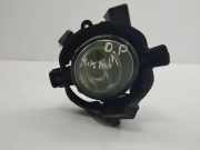 Nebelscheinwerfer links NISSAN QASHQAI / QASHQAI +2 I (J10, JJ10) 1.5 dCi 26150C9900