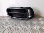 Gitter vorne unten INFINITI EX 30d 622521BP0A