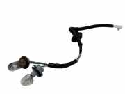 Xenon-Lampe TOYOTA RAV 4 IV (_A4_) 2.0 D (ALA40_)