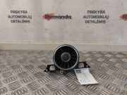 Ziergitter Audi TT (8S) 8S2820903