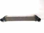 Ladeluftkühler MERCEDES-BENZ A (W169) A 180 CDI (169.007, 169.307) A1695000000 A1695000000