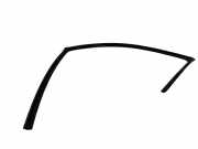 Türdichtungsgummi vorne links PEUGEOT 4008 1.8 HDi AWC 3X4JY06