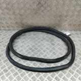 Türdichtungsgummi vorne links AUDI Q4 SUV (F4B) 50 e-tron quattro 11A867911B