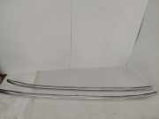 Dachreling-Set BMW 5 (F10) 520 d