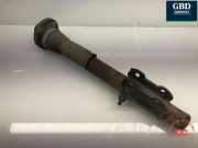 Stoßdämpfer rechts hinten Mercedes-Benz Sprinter 3t Bus (906) A9063200131