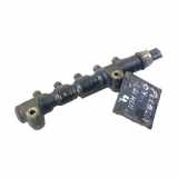 Einspritzleiste Peugeot 207 () 9054592680