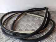 Türgummi rechts vorne Infiniti EX (J50)