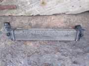 Ladeluftkühler Renault Grand Scenic III (JZ)