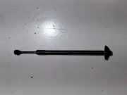 Heckklappendämpfer links Ford EcoSport () GN15N400A12AB