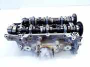 Motorkopf NISSAN X-TRAIL IV (T33) 1.5 VC-T Mild Hybrid 016RC06R