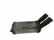 Ladeluftkühler PEUGEOT 307 SW (3H) 1.6 HDI 110 9648551880