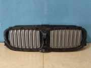 Vorderer oberer Gitter BMW 3 (G20, G28) 3 (G20) 320 i 187156