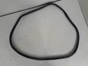 Türgummi rechts hinten BMW 4er Gran Coupe (F36) 7401894