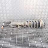 Stoßdämpfer vorne rechts VW AMAROK (2H_, S1B) 2.0 BiTDI N/A