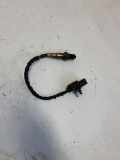 Sauerstoffsensor (Lambdasensor) HYUNDAI TUCSON (JM) 2.0 CRDi 4WD 1928404687