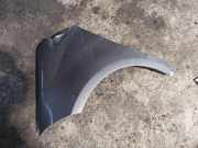 Kotflügel vorne rechts MERCEDES-BENZ A (W169) A 200 CDI (169.308)