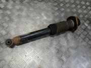 Stoßdämpfer rechts hinten BMW X5 (E53)