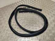 Türdichtung vorne rechts PEUGEOT 4008 1.8 HDi