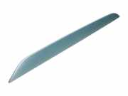 Türverkleidung links vorne VW Passat B6 (3C2) 3C8867409A