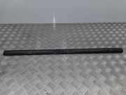 Türverkleidung rechts hinten Fiat Ulysse (179) 0104472