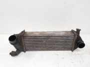 Ladeluftkühler Renault Kangoo II Rapid (FW0) 144963234R