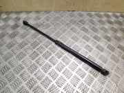 Heckklappendämpfer links Skoda Octavia II (1Z)