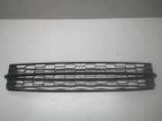 Gitter vorne unten SKODA RAPID (NH3) 1.2 TSI 3200201122
