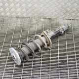 Stoßdämpfer vorne links JAGUAR E-PACE (X540) 2.0 D AWD J9C3-18K001-AF