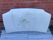 Motorhaube VW Caddy III Kasten (2KA)