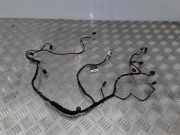 Kabelbaum BMW 3 Cabrio (E93) 325 i 6932700