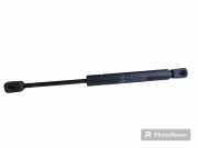Heckklappe Gasdruckfeder links NISSAN TERRANO II (R20) 2.7 TD 4WD 893020F600