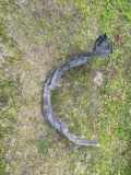 Radhaus links vorne Toyota RAV 4 II (A2) 53876