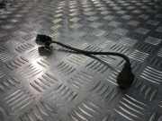 Klopfsensor Ford Focus IV (HN) 1S7A12A699BA