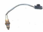 Sauerstoffsensor (Lambdasensor) PEUGEOT 5008 II (MC, MJ, MR, M4) 1.2 THP (MRHNYH, MRHNYW, MRHNSJ, MRHNSU, MRHNSM) 373241G