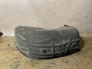 Radhaus links hinten BMW X5 (F15, F85)