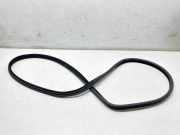 Türgummi links vorne Land Rover Range Rover Evoque I (L538) BJ3220708A