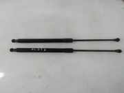 Heckklappe Gasdruckfeder rechts AUDI A4 Avant (8ED, B7) 2.0 TDI quattro