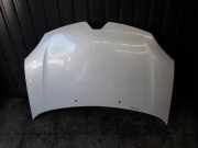 Motorhaube Renault Twingo III (BCM) 651221590R