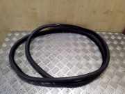 Türdichtung BMW 5er (F10)