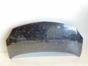 Motorhaube RENAULT TWINGO II (CN0_) 1.2 16V (CN0K, CN0V)