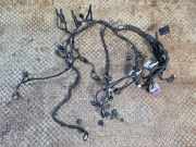 Motor Kabelbaum MERCEDES-BENZ A (W177) A 180d (177.003) A6081500800