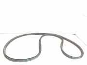 Türdichtung Nissan Pathfinder III (R51)