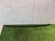 Dachreling-Set BMW 5 (G30) 530 d 2710272