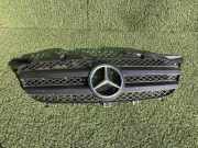 Kühlergrill komplett Mercedes-Benz Sprinter 5t Kasten (906) 9068800385