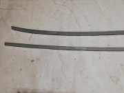 Dachleiste links MERCEDES-BENZ R (W251, V251) R 320 CDI 4-matic (251.022, 251.122) A2516902180