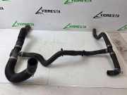 Schlauch Kühlung NISSAN NV300 Furgon (X82) 1.6 dci 120 215011009R